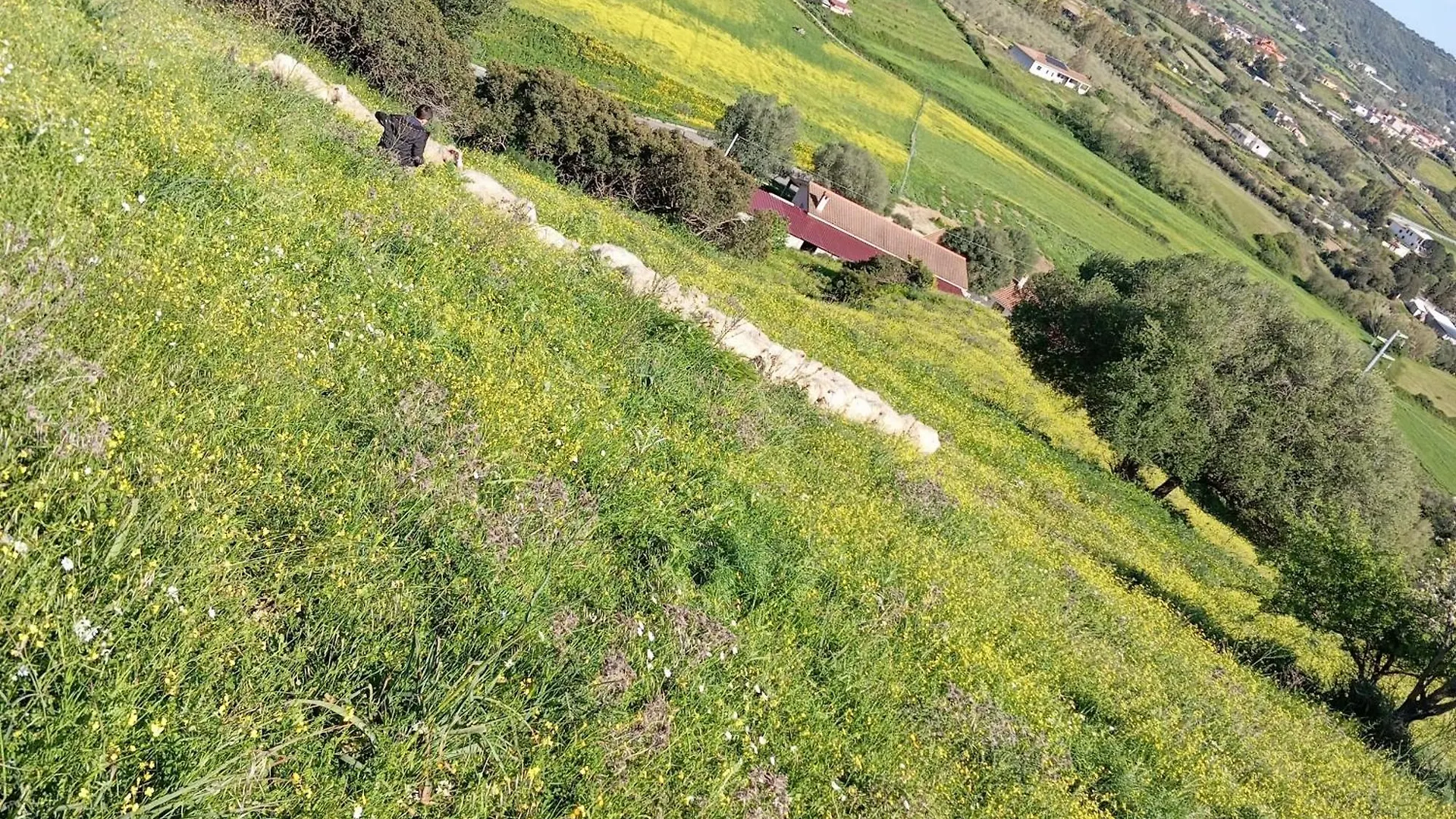 Agriturismo Neunele Loculi Feriegård